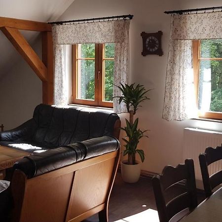 Apartman Jizerka Kořenov Εξωτερικό φωτογραφία