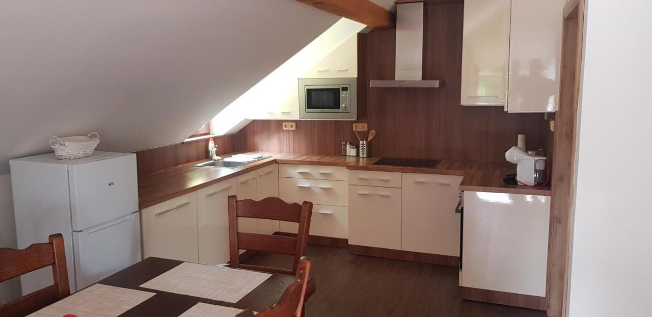 Apartman Jizerka Kořenov Εξωτερικό φωτογραφία